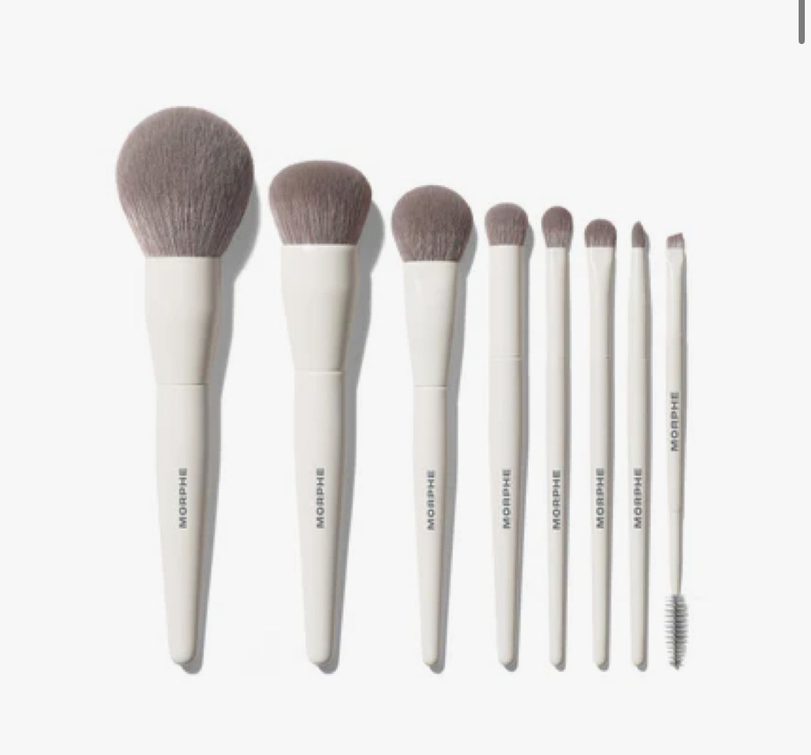 Morphe best of blend brush set 8pcs