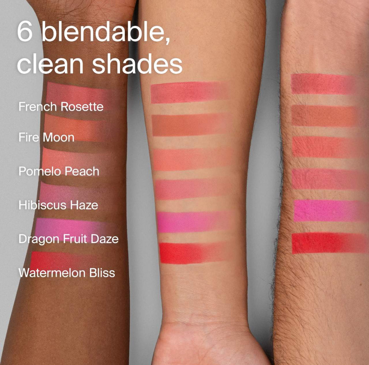Haus labs powder blush
